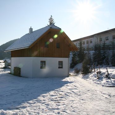 Rueckansicht, Hüttendorf Flattnitz - Typ C, Glödnitz, Kärnten, Kärnten, Österreich