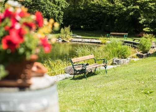 Biohotel Tiefleiten: Schwimmteich - BioLandgut Tiefleiten , Breitenberg, Bayerischer Wald, Bayern, Deutschland