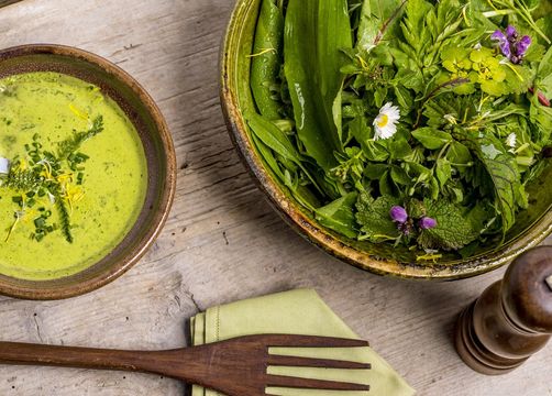 Biohotel Tiefleiten: Leckere und kreative Salate - BioLandgut Tiefleiten , Breitenberg, Bayerischer Wald, Bayern, Deutschland