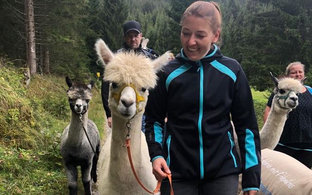 No Drama Lama...?! 12/14