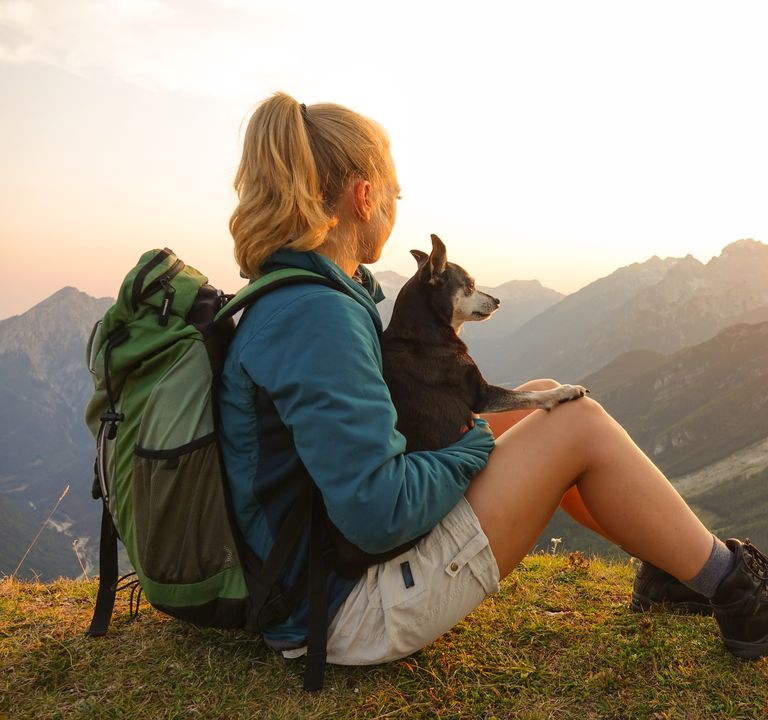 : Active days with your dog