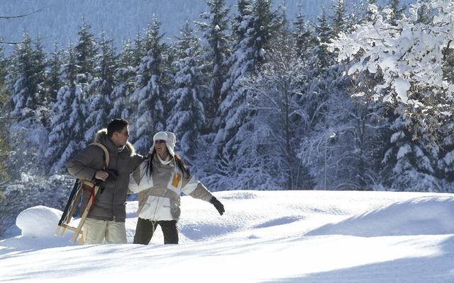 Animal track hike 14/18