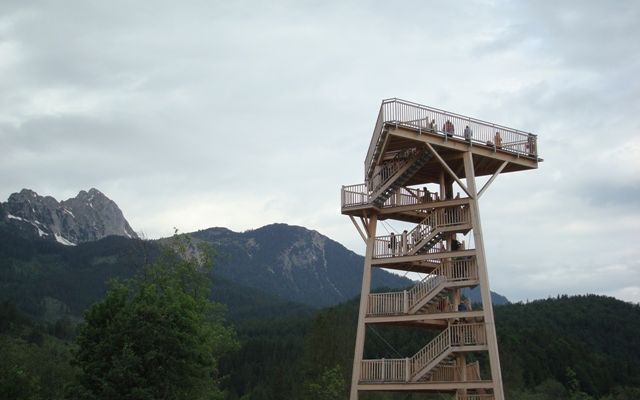 Nature watch - when the lady slippers (Orchid) bloom 11/13