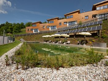 Bachgut Chalet - Salzburg - Österreich