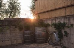 Biohotel La Pievuccia: Weinfässer im Sonnenuntergang - Weingut & Biohotel La Pievuccia, Castiglion Fiorentino (AR), Toskana, Italien
