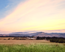 Biohotel Il Cerreto: Urlaub in Italien - Bio-Agriturismo Il Cerreto, Pomarance (Pisa), Toskana, Italien