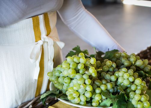 Bio-Agriturismo Il Cerreto, Pomarance (Pisa), Tuscany, Italy (13/22)