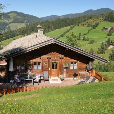 Summer, Chalet Naturblick am ZwisleggGut, Wagrain, Salzburg, Salzburg, Austria