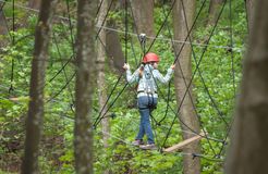 BIO HOTEL Amadeus: Ausflugtipp Kletterpark - Biohotel Amadeus, Schwerin, Ostsee, Mecklenburg-Vorpommern, Deutschland