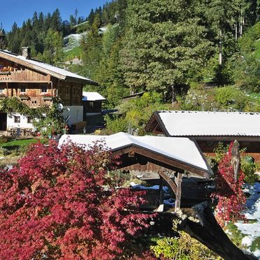 Frühling, Bergchalet Klausner Edelweiß, Ramsau im Zillertal, Tirol, Tirol, Österreich