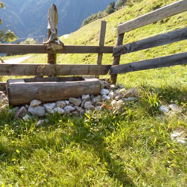 Sommer, Schlickhütte, Großarl, Salzburg, Salzburg, Österreich