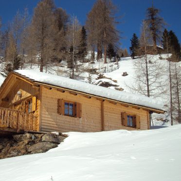 Winter, Almwiesenhütte, Mörtschach, Kärnten, Carinthia , Austria