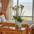Balkon-Suite Elbe