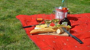 PicknickLIEBE