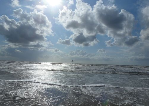 Biohotel Haus am Watt: Wattenmeer - Haus am Watt