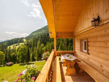 Hütte Höhenegg - Salzburg - Österreich