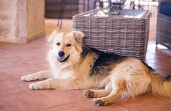 BIO HOTEL La Casa di Melo: Urlaub mit Hund - Bio-Agriturismo "La Casa di Melo", Siracusa, Sizilien, Italien