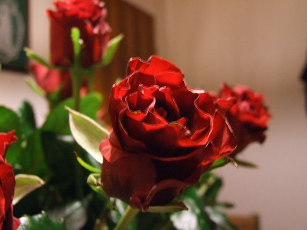Couple's week -30%