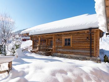 Chalet Steinbock - Salzburg - Österreich