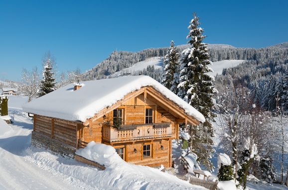 Winter, Chalet Steinbock, St. Martin, Salzburg, Salzburg, Austria
