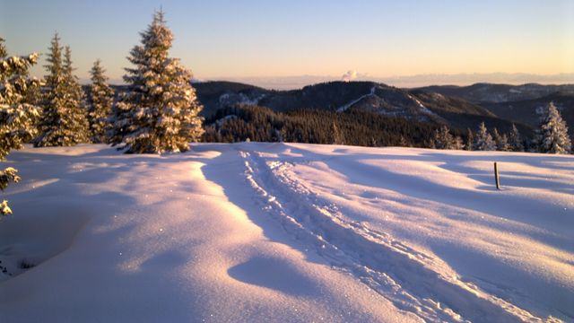 Weihnachten im Schwarzwald erleben / nicht kostenfrei stornierbar