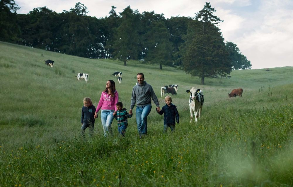 Erlebnisse im Sommer