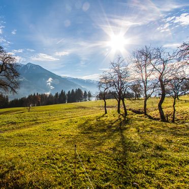 Surroundings, Stollenberghütte, Fügenberg, Tirol, Tyrol, Austria