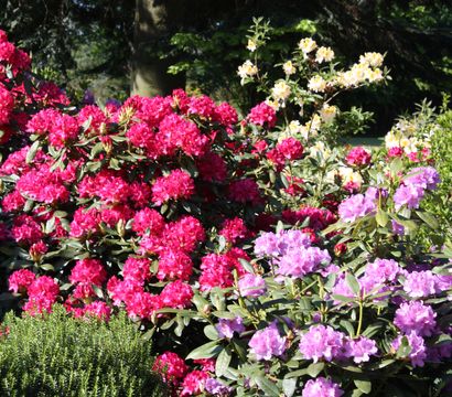 Angebot: Rhodozauber - Romantik Hotel Jagdhaus Eiden am See