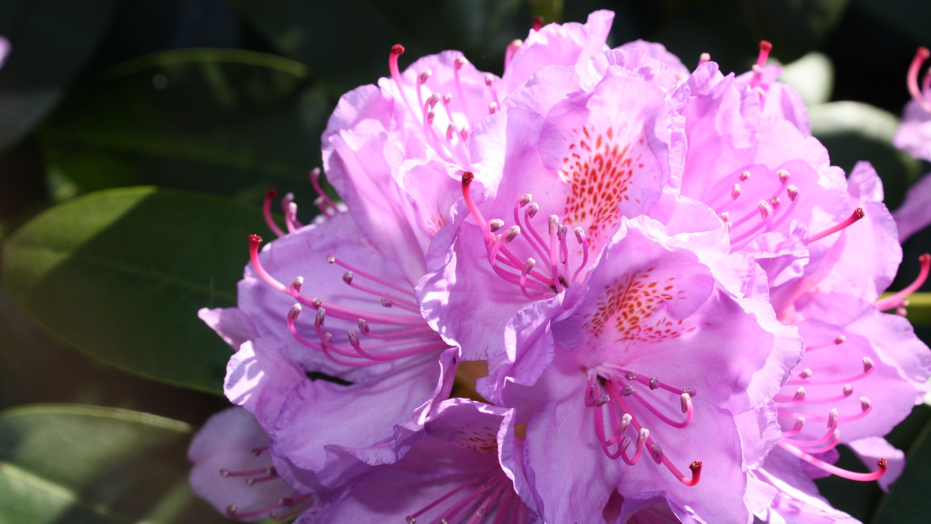 Corpus Christi 28.05.2024 04.06.2024 Romantikhotel Jagdhaus Eiden