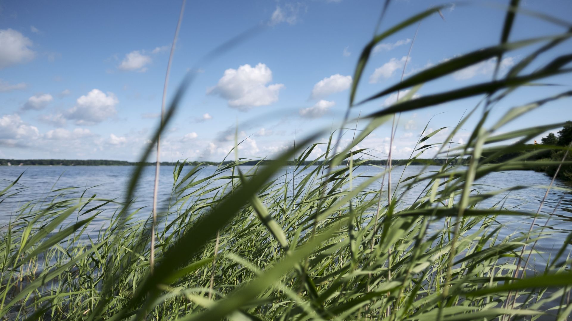 Auszeit im Ammerland 