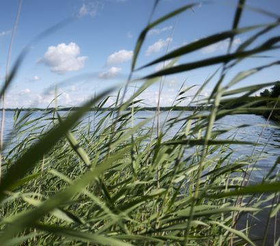 Romantik Hotel Jagdhaus Eiden am See: Timeout in the Ammerland