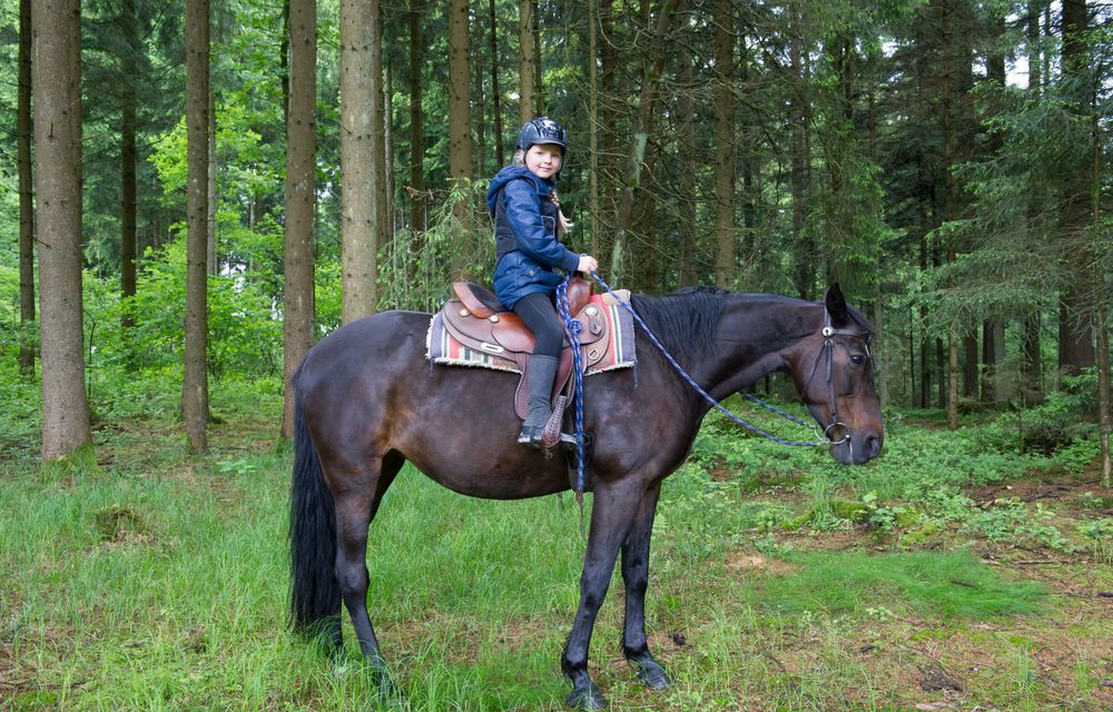 Gelände-Wiedereinsteiger-Ritt