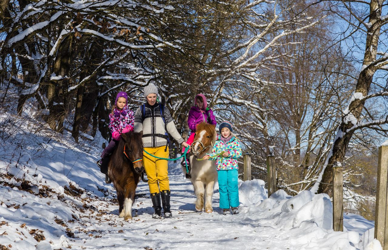 Reitwanderung im Winter.jpg