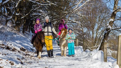 Ein absolutes Highlight für alle Kinder - Reiten im Pulverschnee.