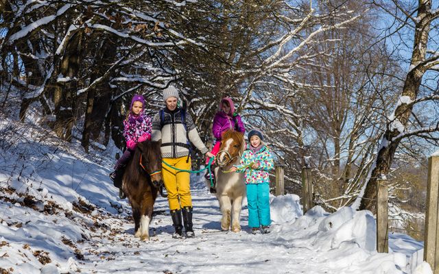 Reitwanderung im Winter.jpg