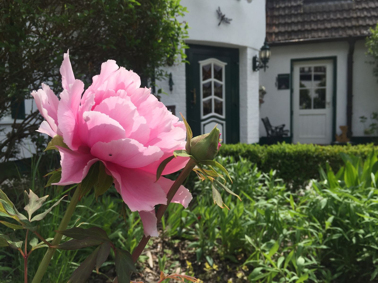 Feiertagsspecial: 5 Nächte genießen, nur 4 bezahlen image 2 - Familotel Mecklenburgische Seenplatte Borchard's Rookhus