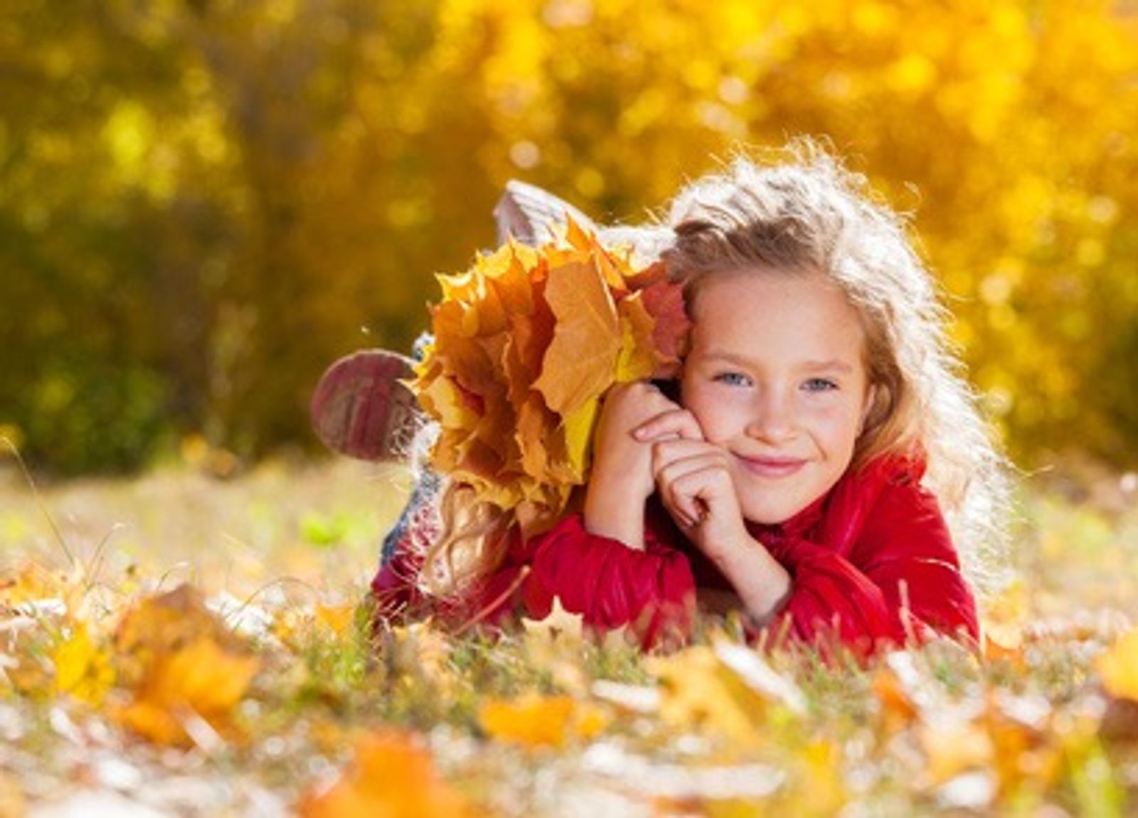 November-Familienzeit: Kinder reisen gratis image 1 - Familotel Mecklenburgische Seenplatte Borchard's Rookhus
