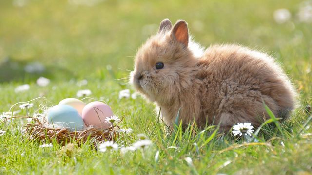 Ostern mit der Family