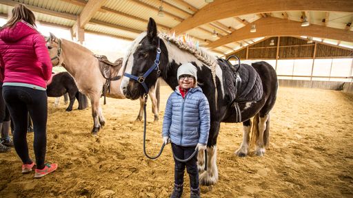 ... Reiterferien im Sauerland im Familotel Ebbinghof