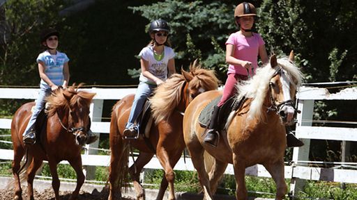 Im Familotel Lärchenhof haben Sie viele verschiedene Möglichkeiten zum Reiten.