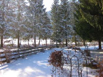 Romantik Hütte - Carinthia  - Austria