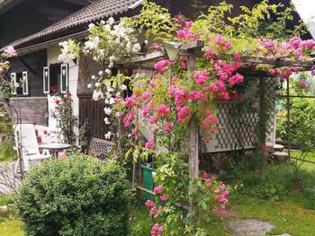 Romantik Hütte - Carinthia  - Austria