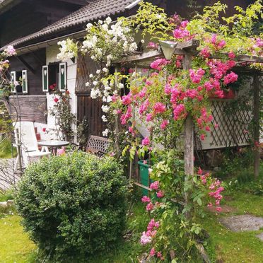 Sommer, Romantik Hütte, Patergassen, Kärnten, Kärnten, Österreich