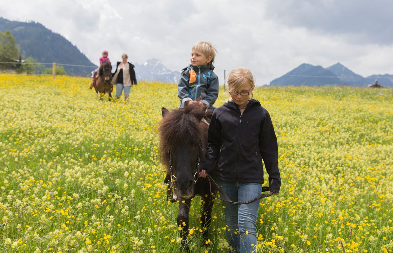 Familienhotel_Alphotel_Reiten.jpg