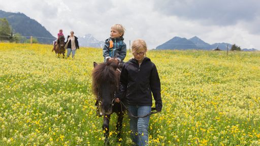 Geführtes Ponyreiten mit den Ponys Cola und Whisky im Familotel Alphotel erleben.