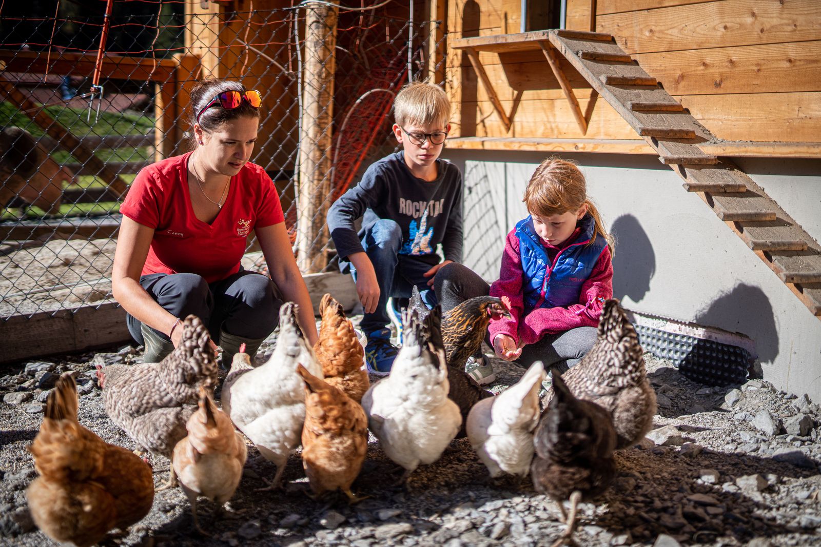 SUPERSOMMER, Tiere, Spaß, und mehr... image 1 - Familotel Salzburger Land Familienhotel Oberkarteis