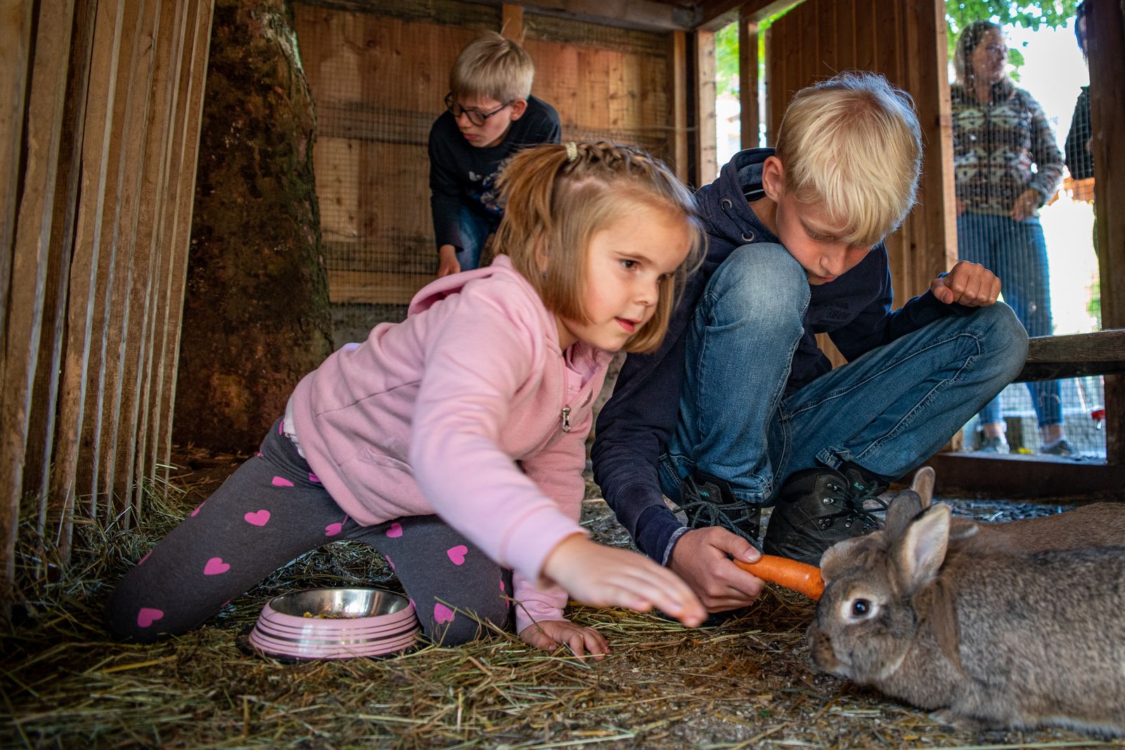 Bunte Ostertage image 3 - Familotel Salzburger Land Familienhotel Oberkarteis