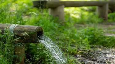 Nationalpark Woche „Natur Natur sein lassen“