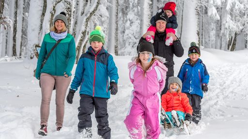 Tief verschneite Wälder laden auch zu Aktivitäten abseits der Skipisten ein.