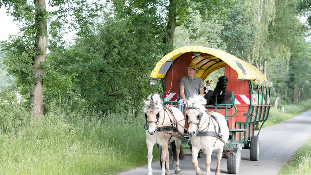 Münsterländer Sparwochen 